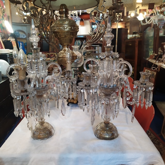 IMG_20210129_155323 girandole