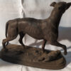 regule chien