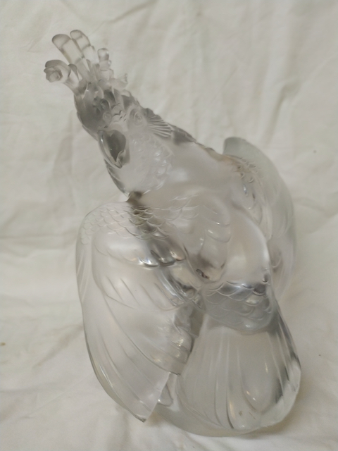 cacatoes cristal lalique france perroquet cristal